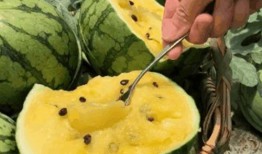 安徽网红地下室吃瓜,安徽“吃瓜”现象背后的故事