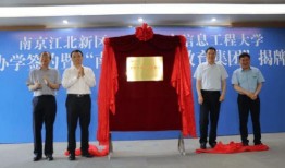 合肥新银河爆料最新消息,揭秘神秘项目进展与影响