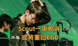 黑哥爆料罗阿薇视频下载,揭秘网络爆红背后的真相